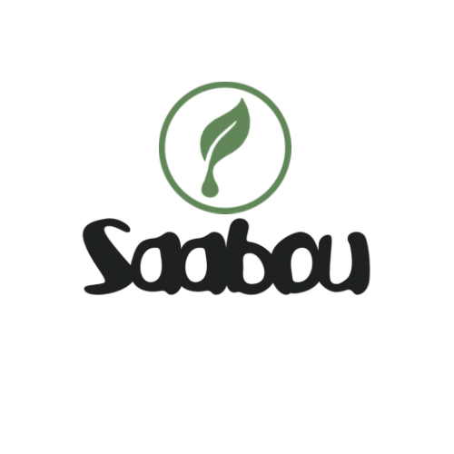 Logo Saabou Académie